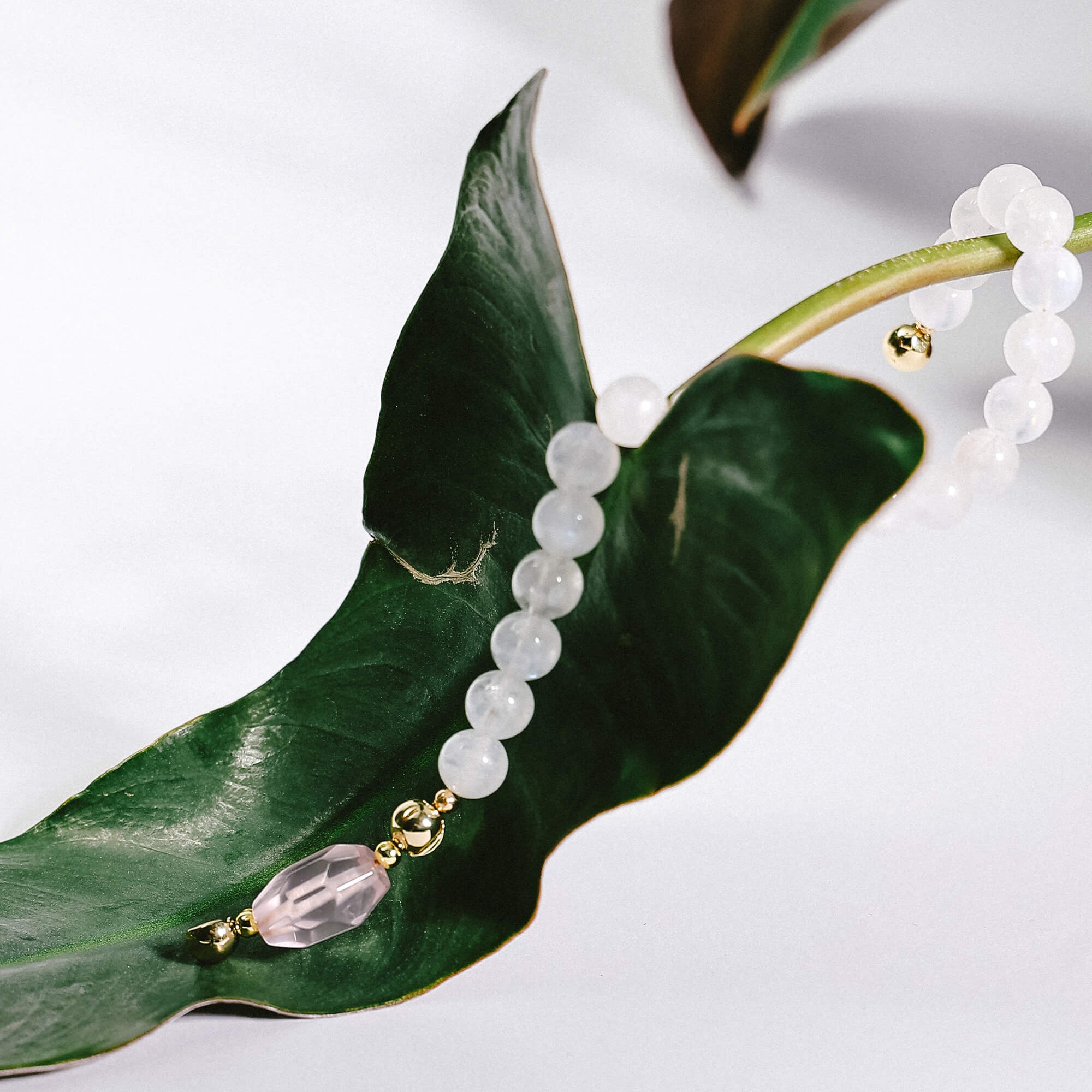 Magnetic Clasp Moonstone Bracelet