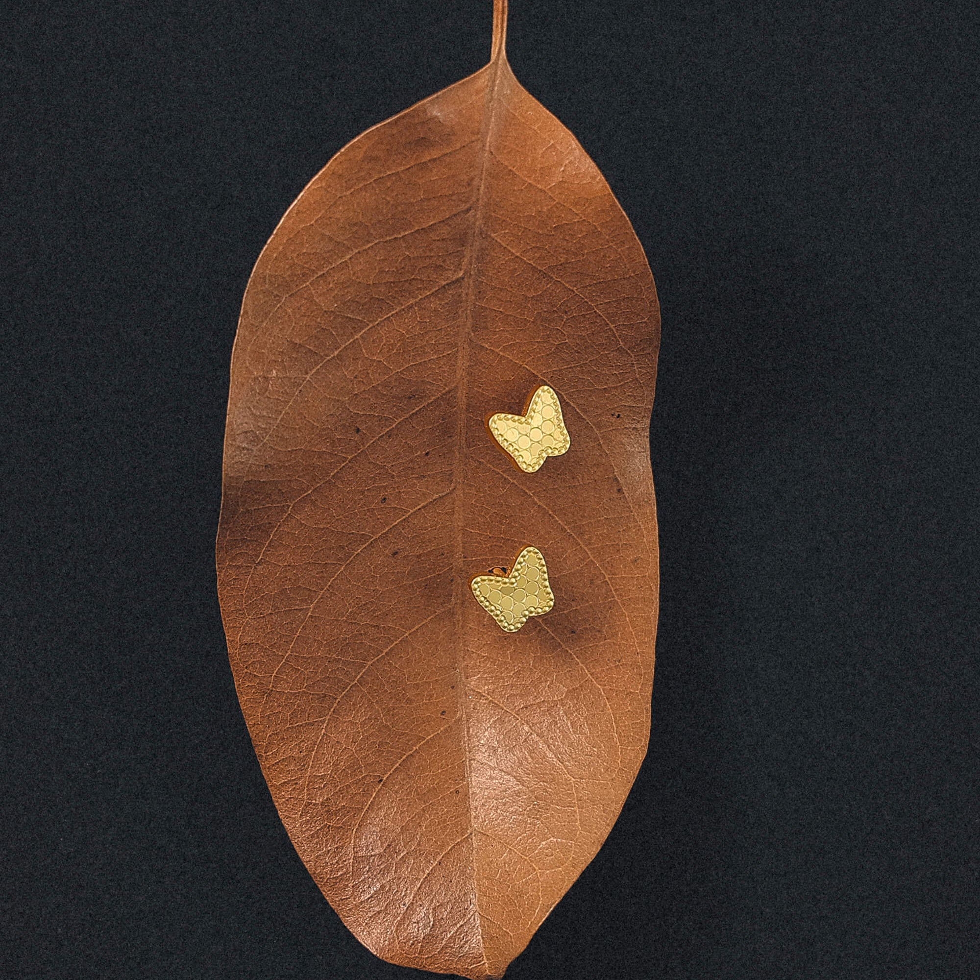 Textured Wings Studs