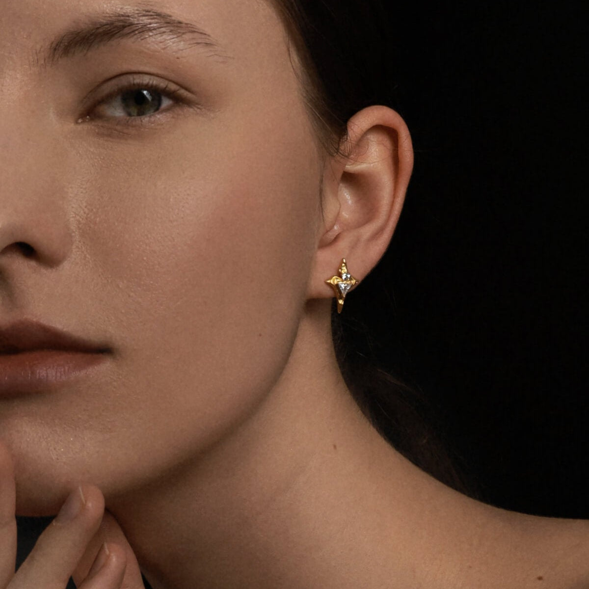 Echo of Silverware Silhouette
Earrings
